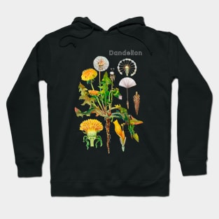 Dandelion Hoodie